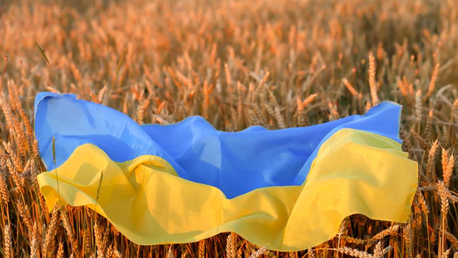 Зърното ще може да напусне Украйна през три пристанища