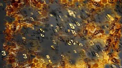 пчели числа