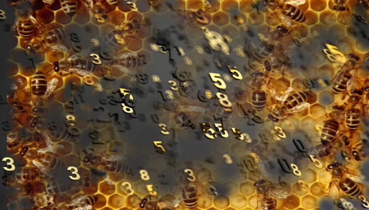 пчели числа - НЕВЕРОЯТНО, НО ФАКТ! Пчелите разпознават четни и нечетни числа