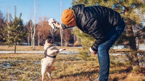 8 мита за определени породи кучета, които не са верни