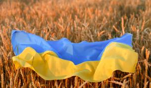 Украйна задържа кораб, изнасял зърно от Крим