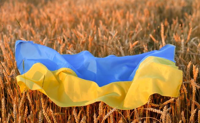 Украйна очаква от ЕС помощ за съхранение на реколтата от зърно