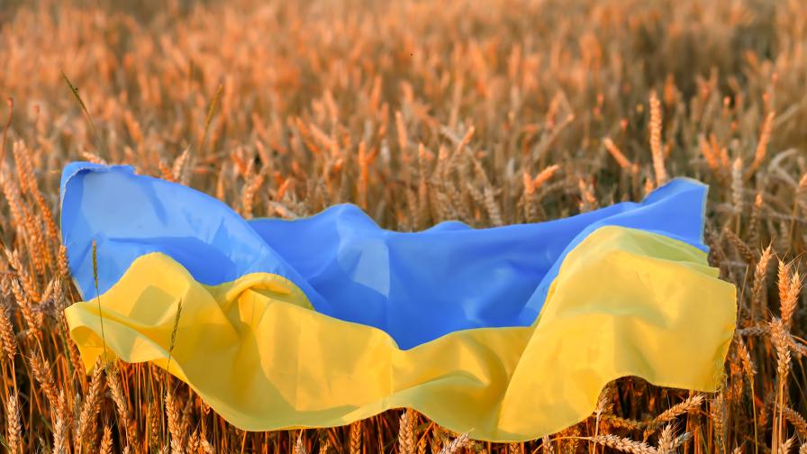 Зеленски: Украинската реколта може да бъде двойно по-малка