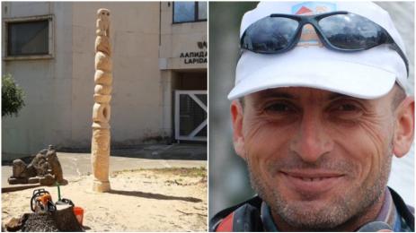 Богородица дърво