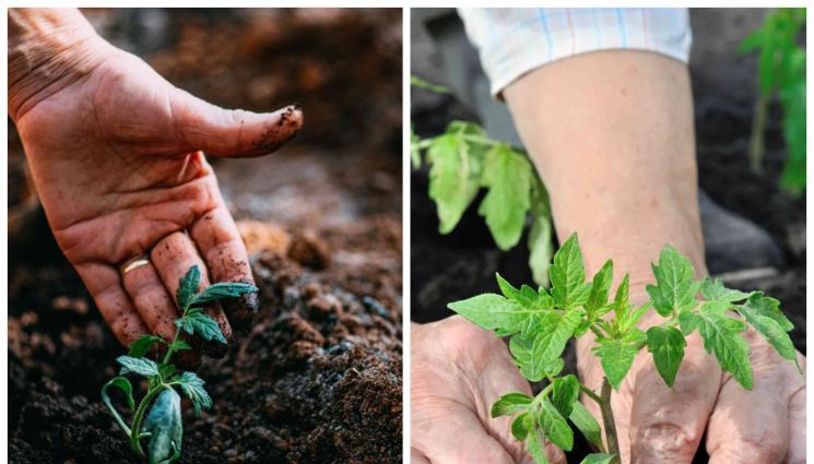 агро - АГРО: Приготвяйте разтвори за пръскане на място без стени, може да има само покрив