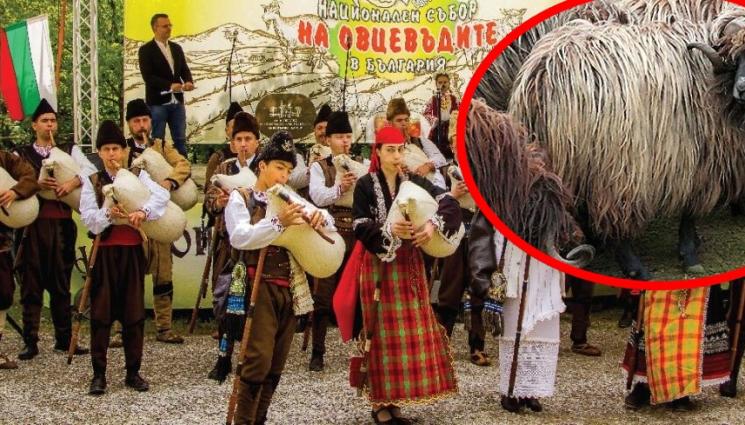 събор овцевъди - АГРО ТЕЛЕГРАФ: Арбанаси - най-вкусната точка на България