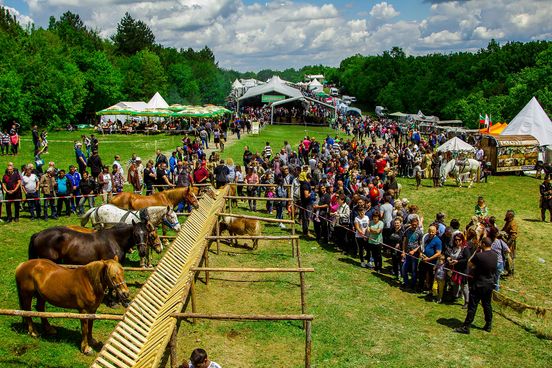 събор овцевъди