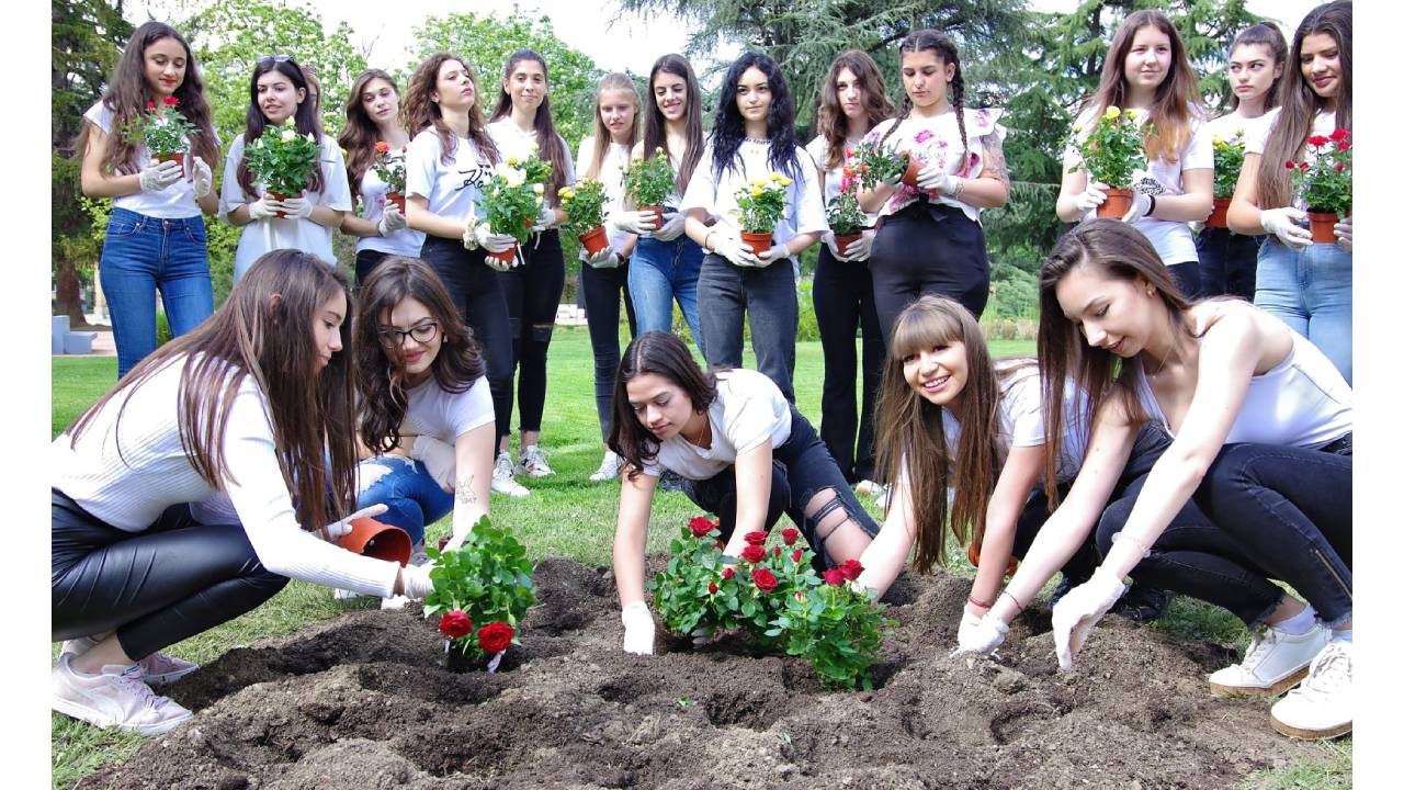 Царица Роза