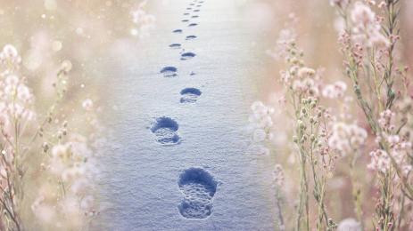 зима сняг пролет