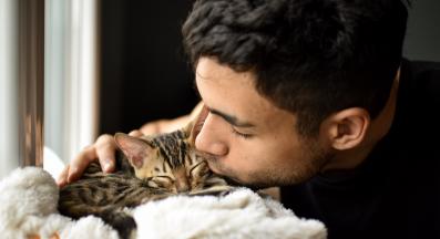 собственик прегръща котка