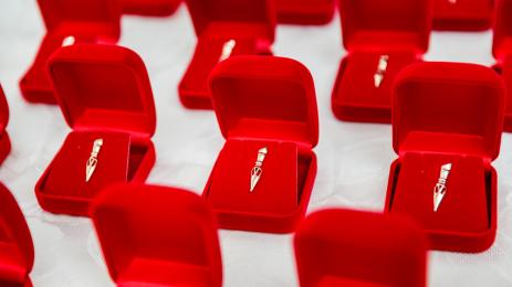 златно перо награда