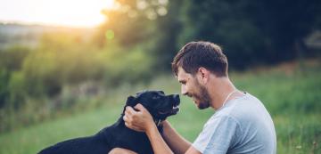 6 начина да се свържете с кучето си на по-дълбоко ниво