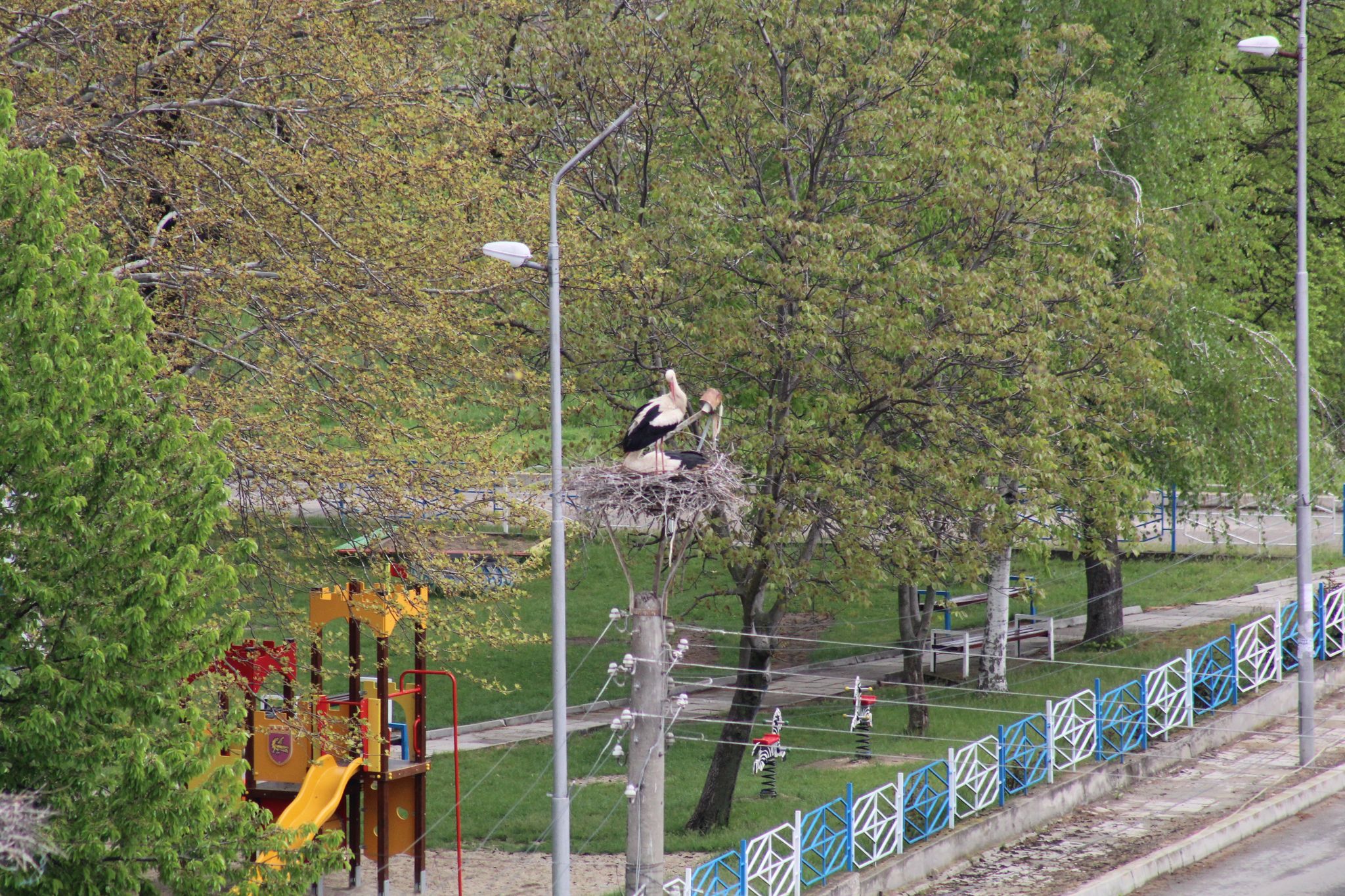 Баничан чорапи