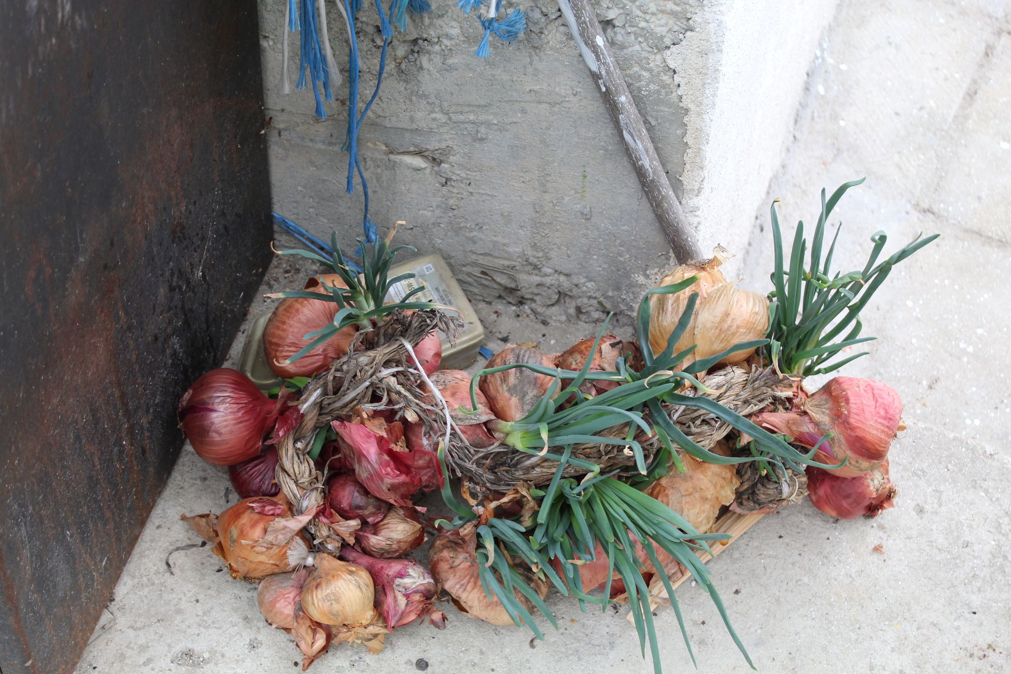 Баничан чорапи