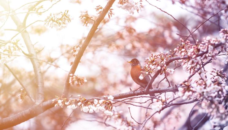 Месец май - За последните 40 години: Началото на май рекордно студен