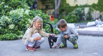 деца и коте