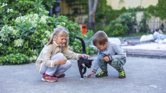 деца и коте