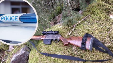 пушка полиция