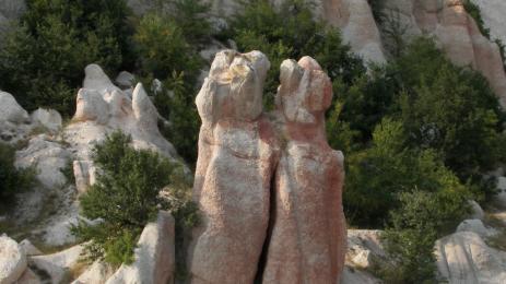 вкаменени младожнеци