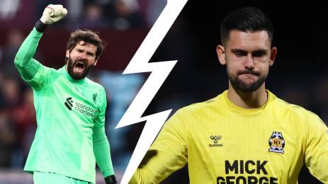 Митов Алисон