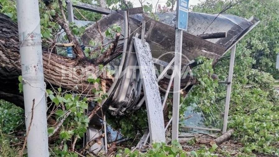 Буря, дърво падна върху спирка в Пловдив