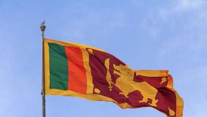 Властите в Шри Ланка затвориха училищата и помолиха държавните служители