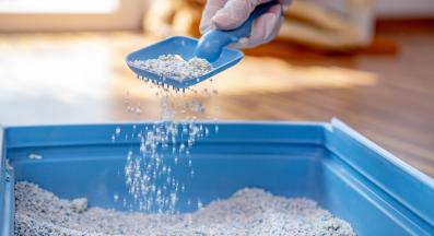 почистване на котешка тоалетна