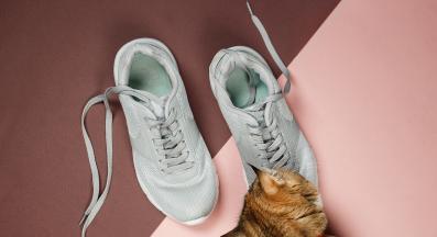 котка и обувки