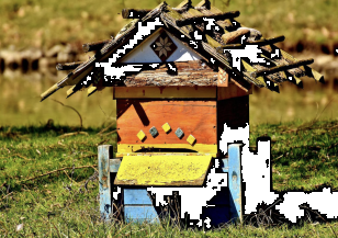 В Южния парк в София отбелязват „Денят на пчелите“