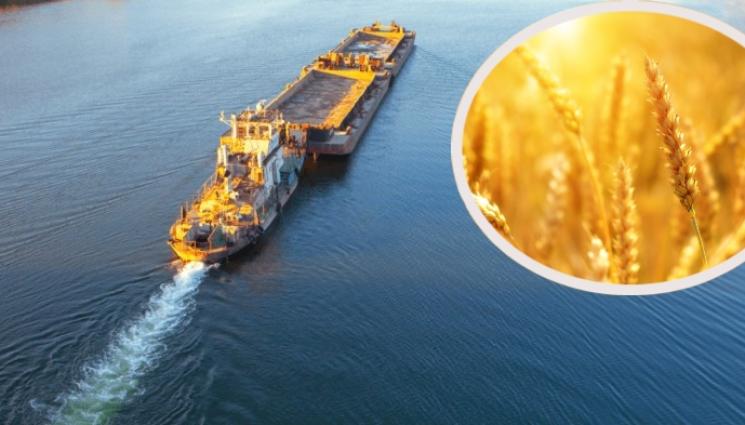 пшеница - ЗАПАСИЛИ СМЕ СЕ: Пазим 1,2 милиона тона пшеница до жътва