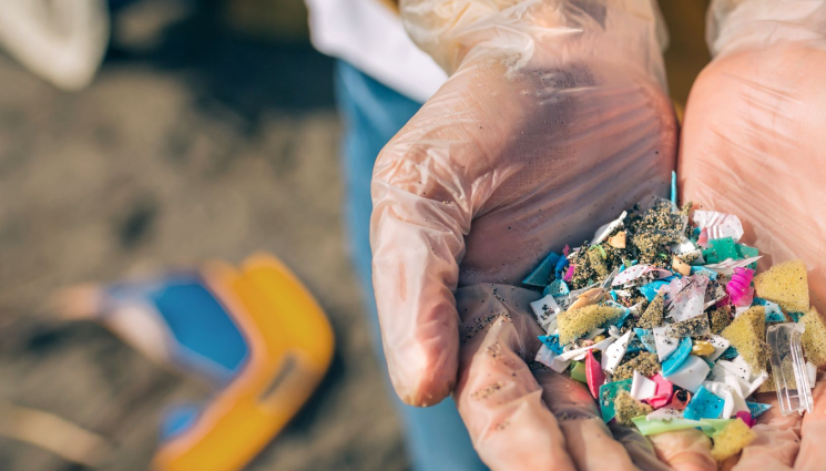 пластмаса - ЗАРАДИ РЕКИТЕ: Морето най-мръсно при Калиакра и Камчия