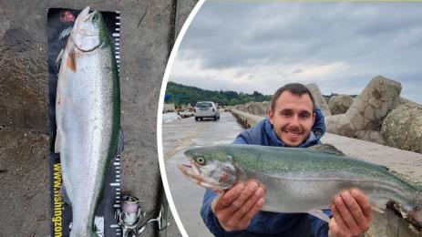 пъстърва рибар