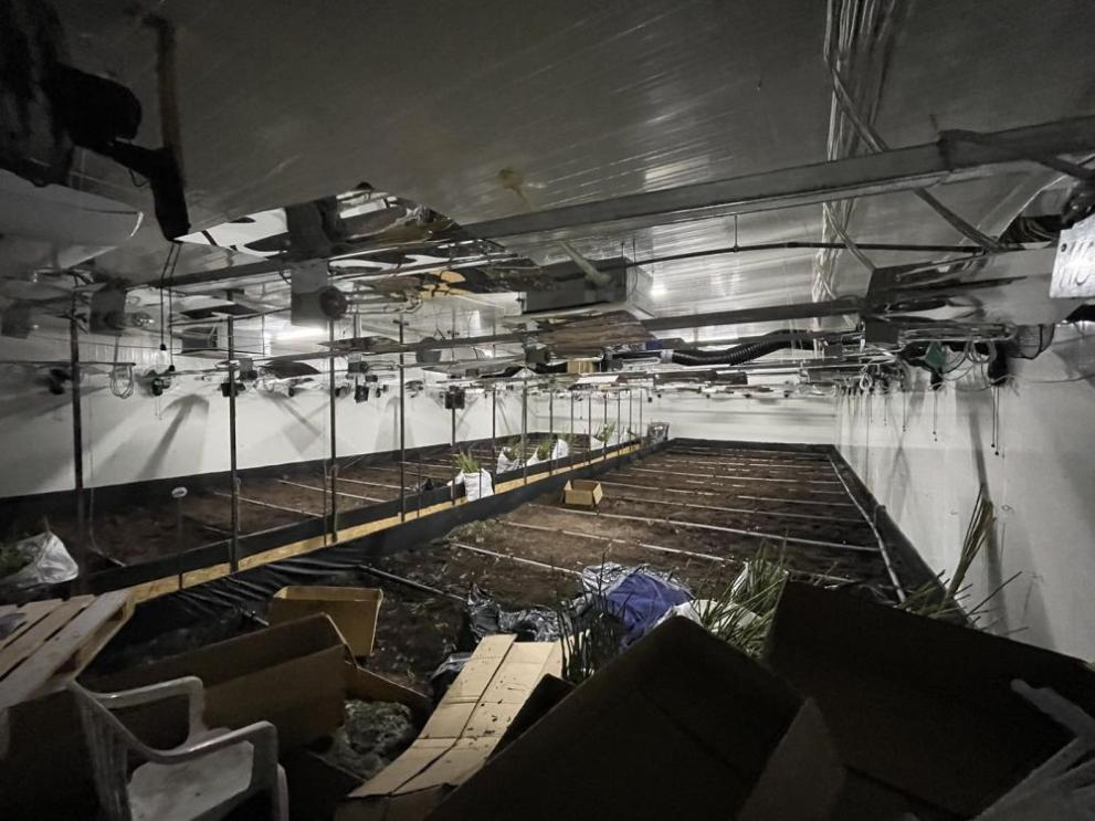 наркооранжерия