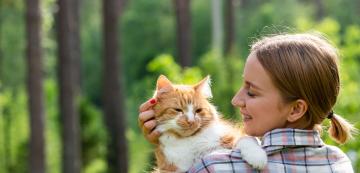 Вагинално течение при котки - какво трябва да знаем