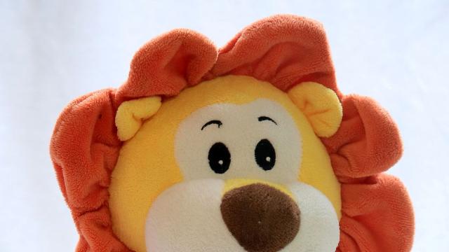 Болница за плюшени играчки във Венецуела връща усмивките на децата 