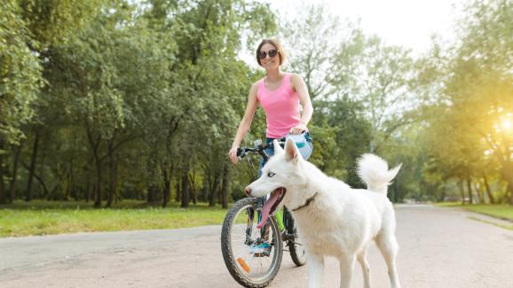Как да научим кучето да бяга до нас, докато караме колело