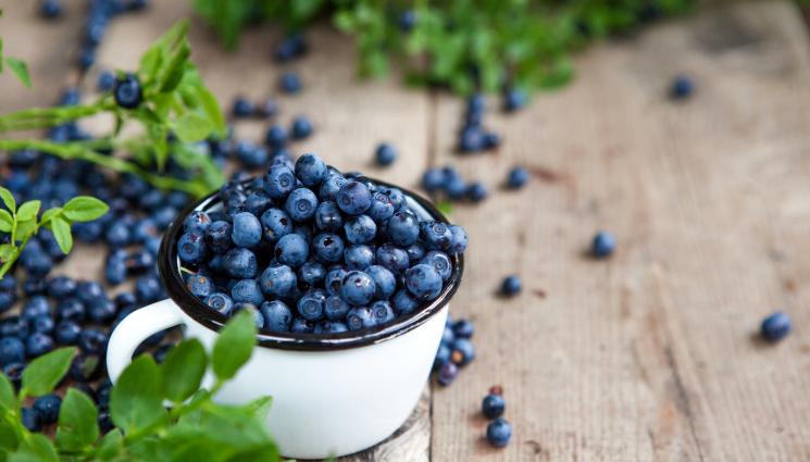 боровинки - ГОВОРЯТ ЕКСПЕРТИТЕ: 6 храни, които подобряват паметта