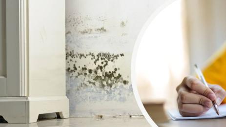 деца домашни мухъл