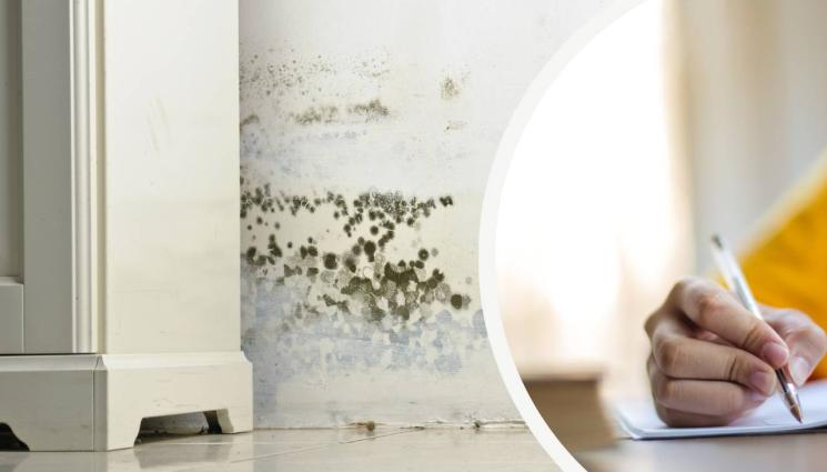 деца домашни мухъл - ВРЕДНА СРЕДА: Всяко трето българче живее на тясно, с влага и с мухъл