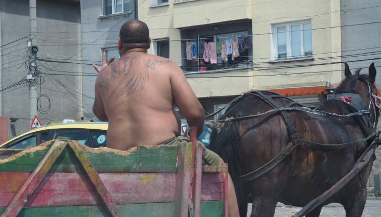 каруци цигани - ПРОВЕРКА НА ТЕЛЕГРАФ: В София все още пълзят каруци, изловят ли ги-карат конете в тайна ферма