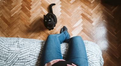 бременна жена и котка