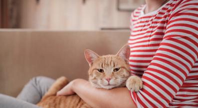 котка у дома