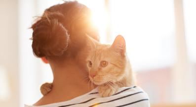 котка и стопанин