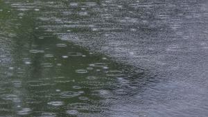 Проливен дъжд придружен с градушка отново наводни село Зайчино ореше
