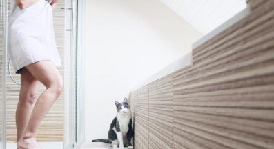 котка в баня