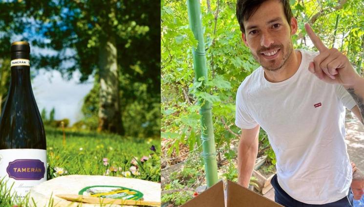 Вино - Световен шампион впечатлява с нов бизнес. Купи си винарна и прави по 13 000 бутилки, които вървят по 30 евро