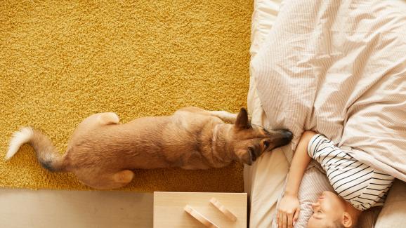 9 знака, че кучето ви е изключително привързано към вас