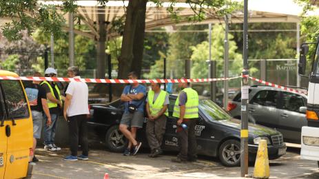 капитолия борисова градина