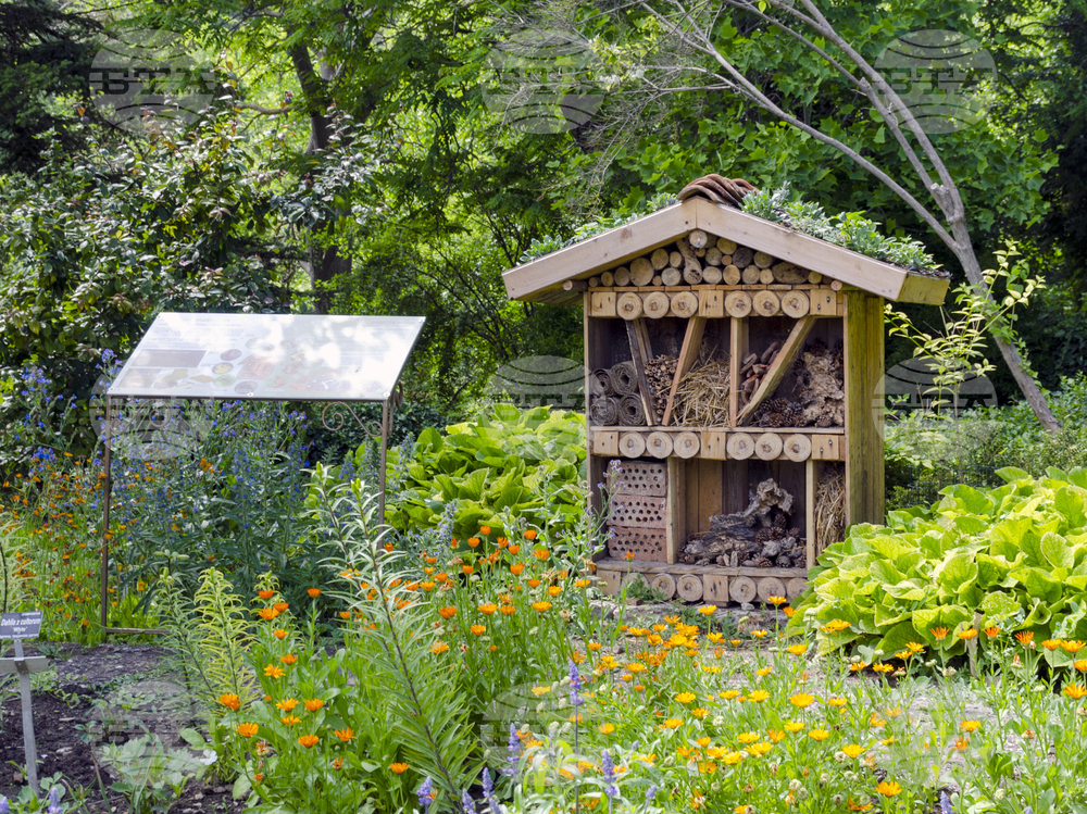 хотел за насекоми