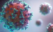 COVID-19: Лятото в Европа започва с ръст на броя на заразените